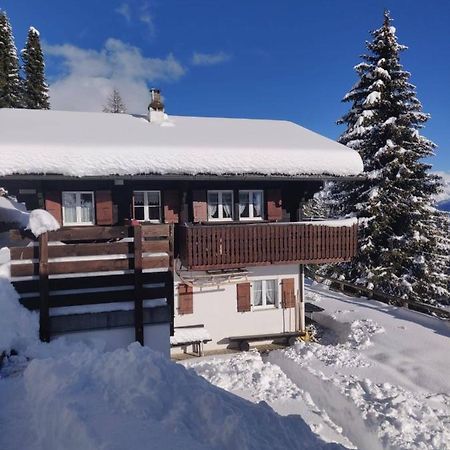 Chalet Grazia Riederalp Bagian luar foto